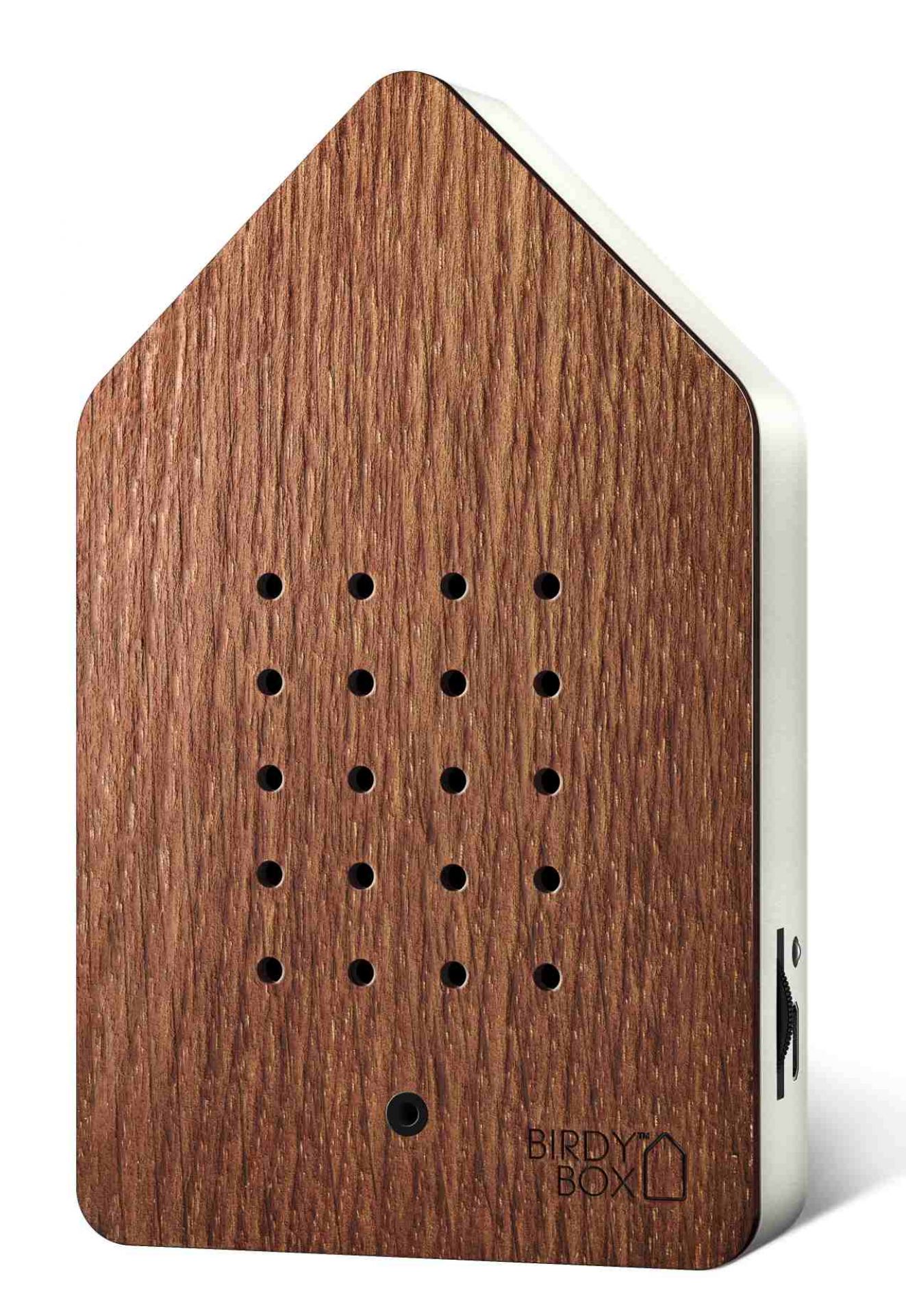 Birdybox Oak Steamed Chirping Box Relaxound SINGLE PIECES